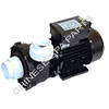 LX LP300 Pump single speed 3.0HP