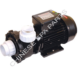 LX WP250-II Pump dual speed 2.5HP